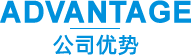 公司优势